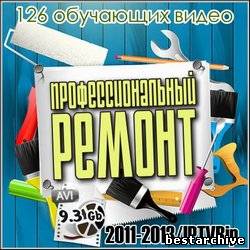 Профессиональный ремонт - 126 обучающих видео (2011/2013) IPTVRip.