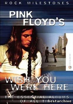 Pink Floyd - Wish You Were Here (1975) DTS