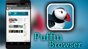Puffin Plus - Fast & Flash v4.2.0.1824 [Android].